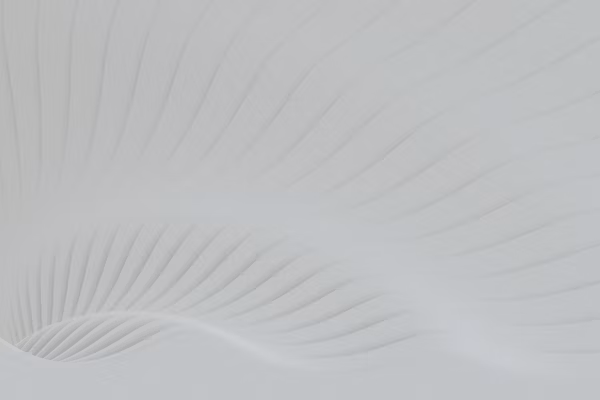 Topographic pattern